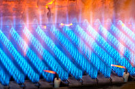 Dulverton gas fired boilers